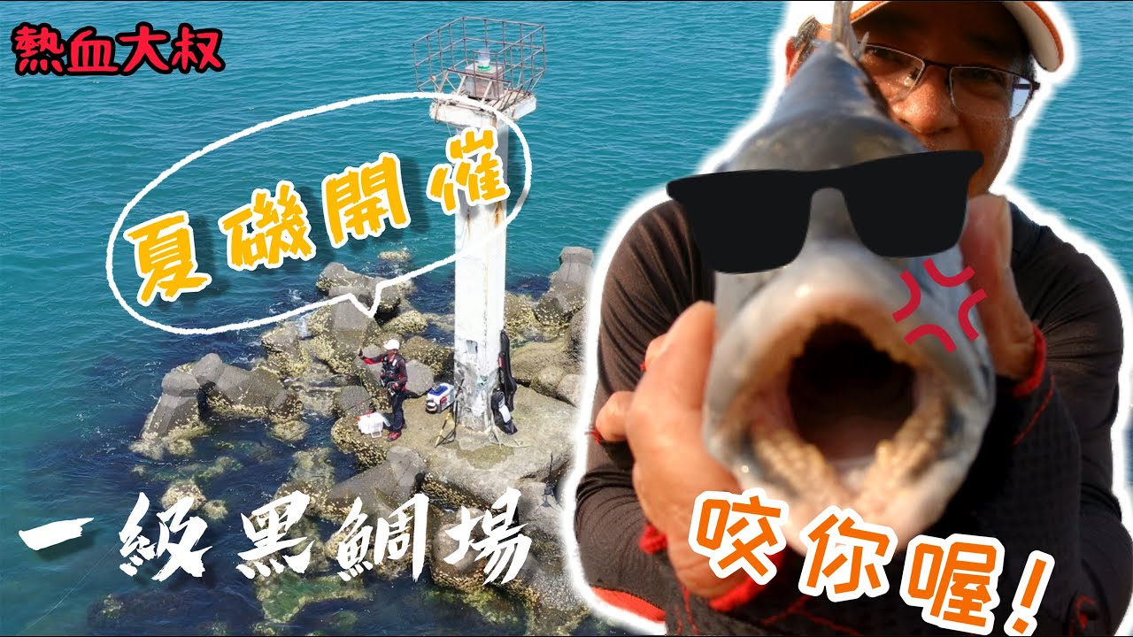 南部一級黑鯛場! 夏磯開始啦,你準備好了沒?