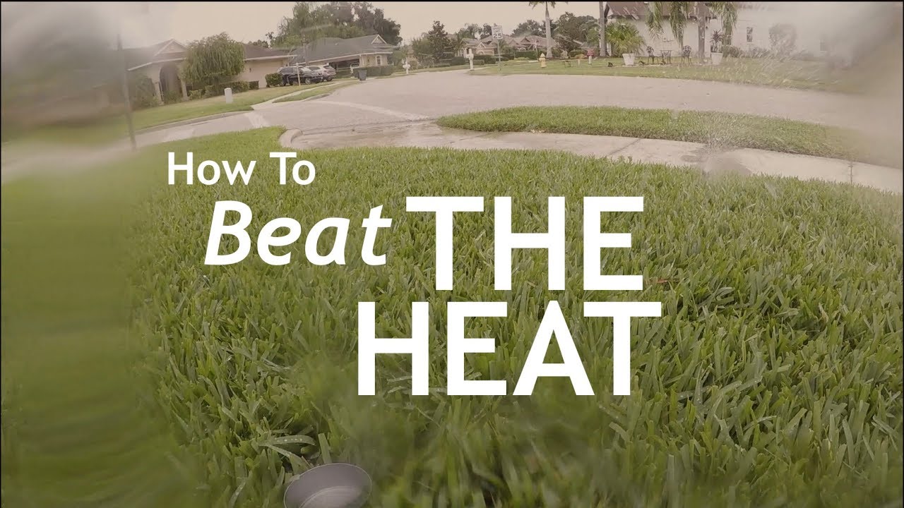 Summer Lawn Heat Wave Tips | Lawn Cooling | Water Your Way Through