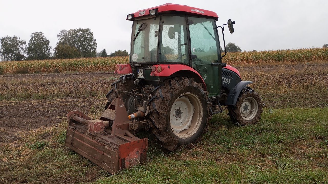 mulczowanie glebogryzarką pod poplon  #rolnictwo#Tym T503