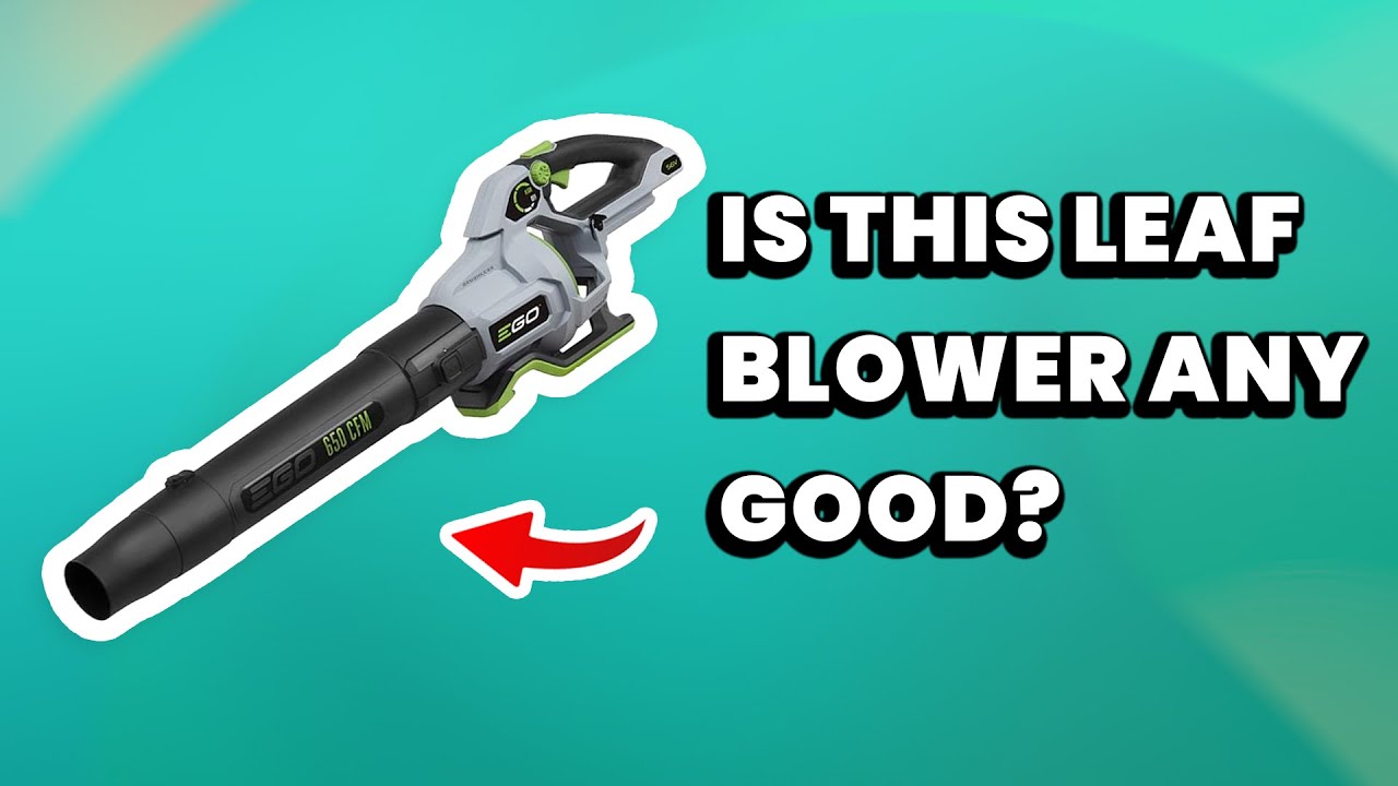 EGO Power+ LB6500 Review- Is This Electric Leaf Blower Good?