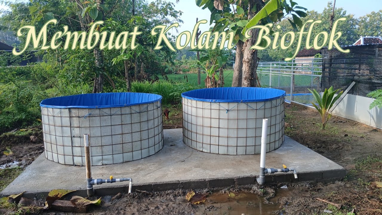 Membuat Kolam Bioflok