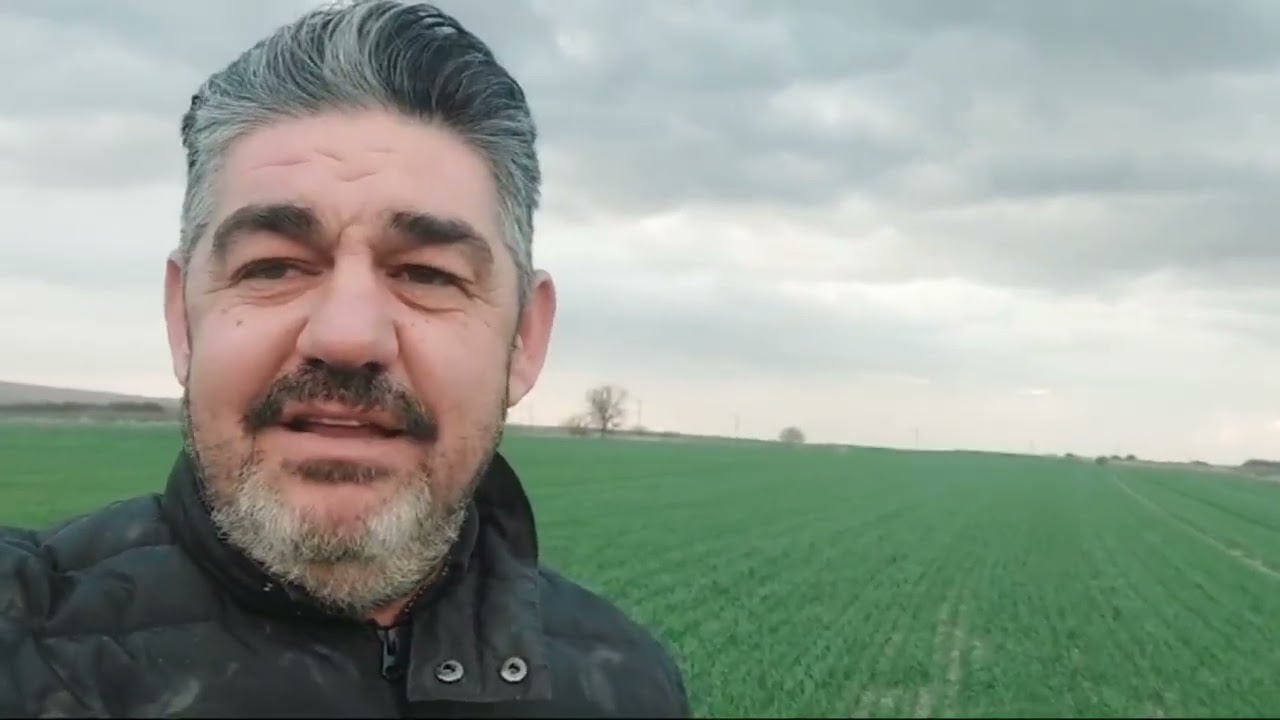 BUĞDAY 1.ÜRE ATIMI  ZAMANI