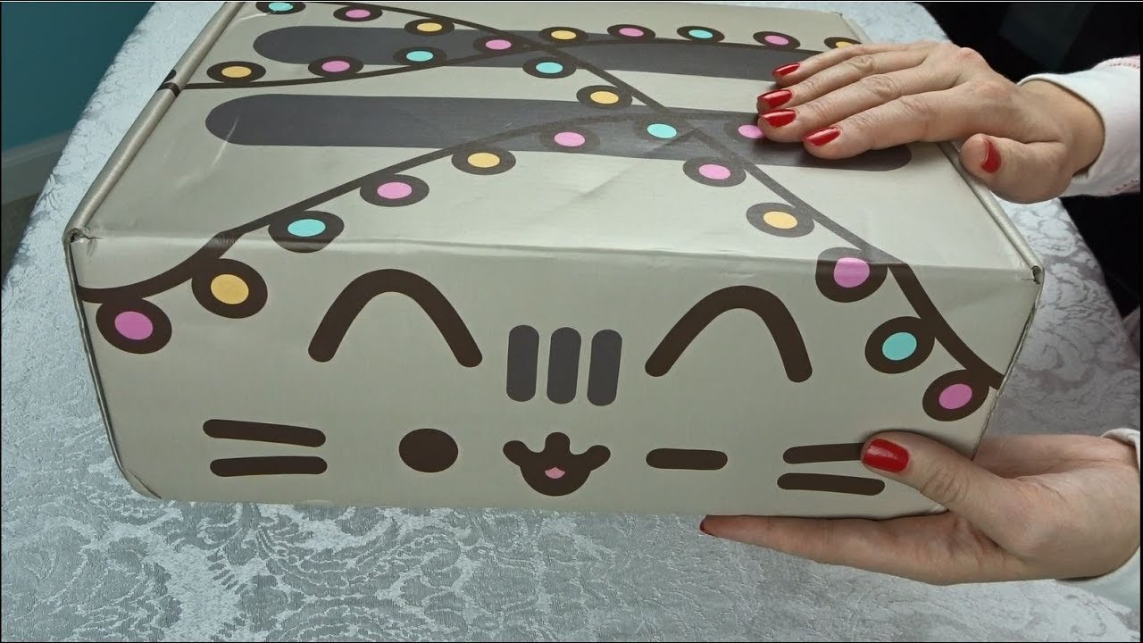Pusheen Subscription Box | Winter 2017