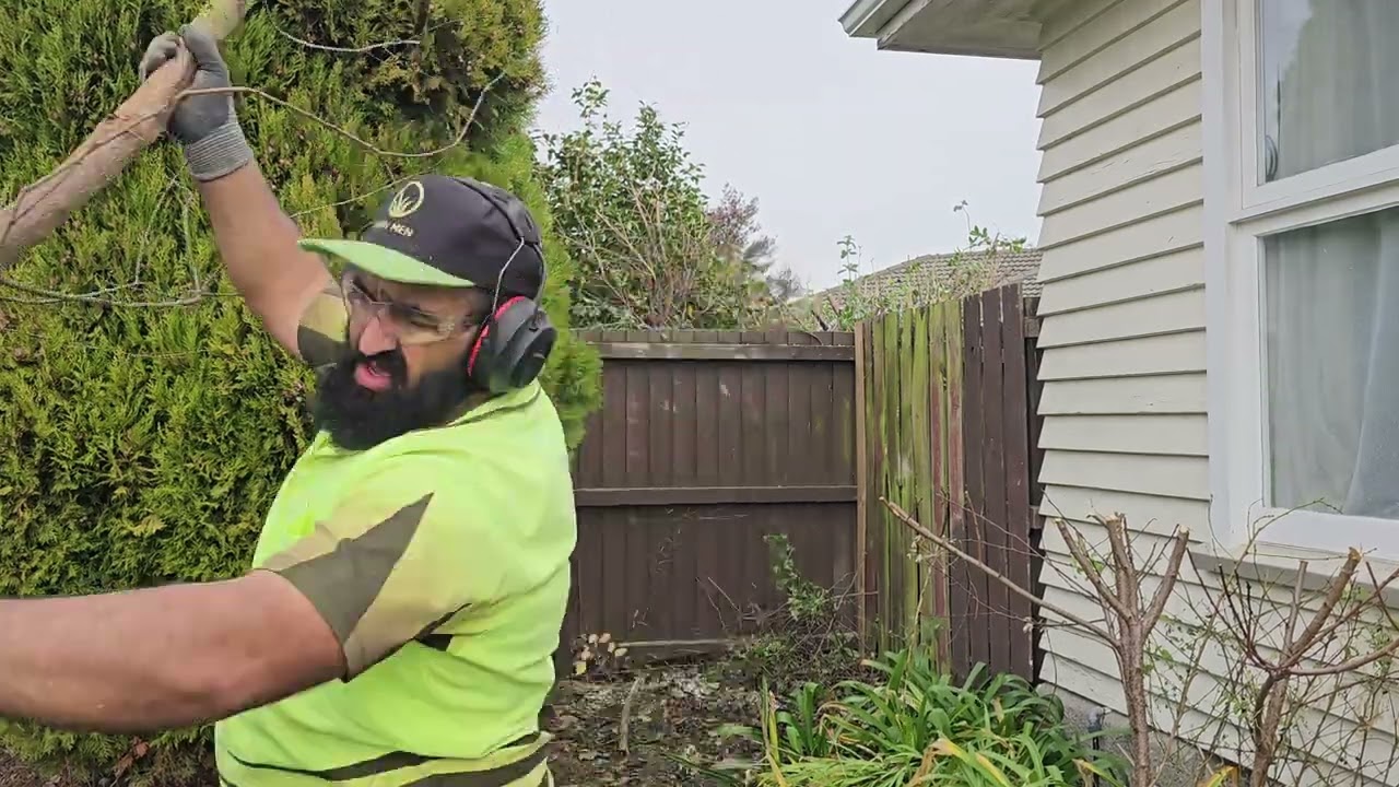Giving the garden a tidy up removing some prickly bushes
