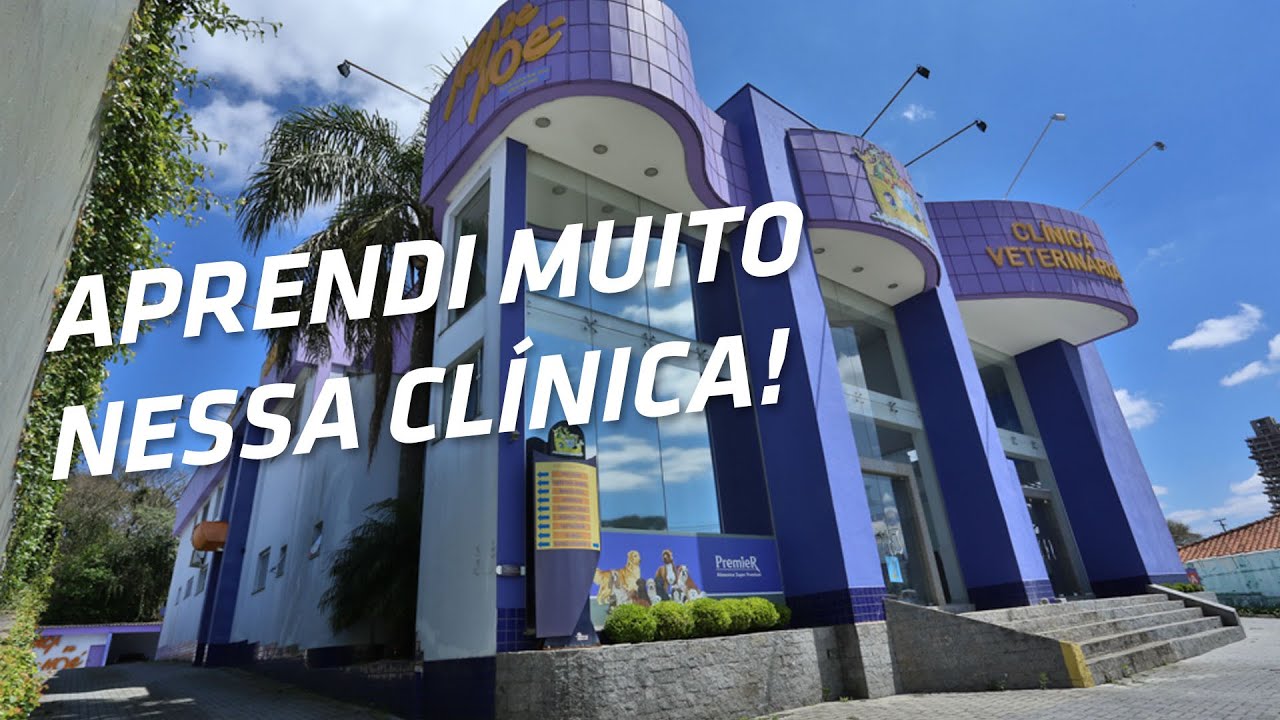 MEU PRIMEIRO ESTÁGIO - Clínica Veterinária Arca de Noé em Curitiba / #VetVlog 60