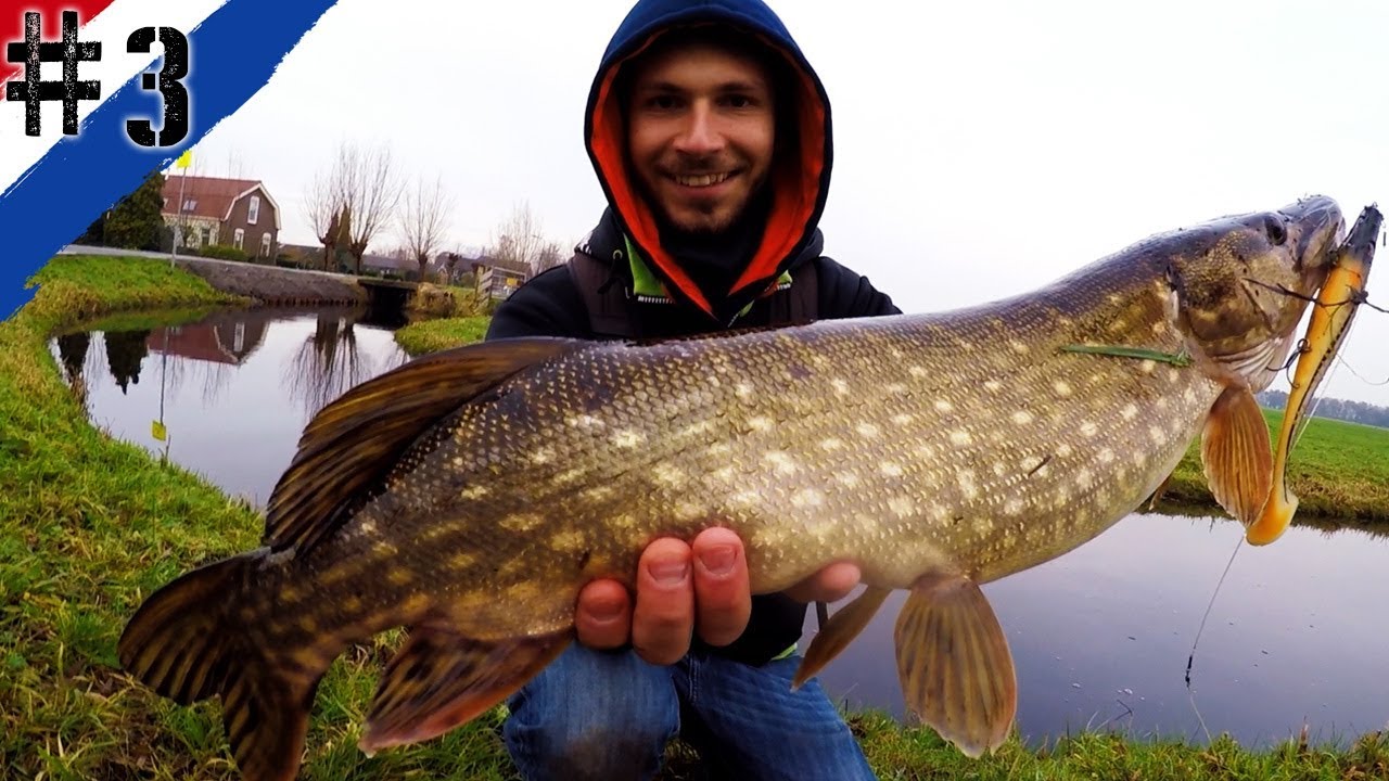 PÊCHE DE FOLIE EN POLDERS AUX PAYS-BAS #3