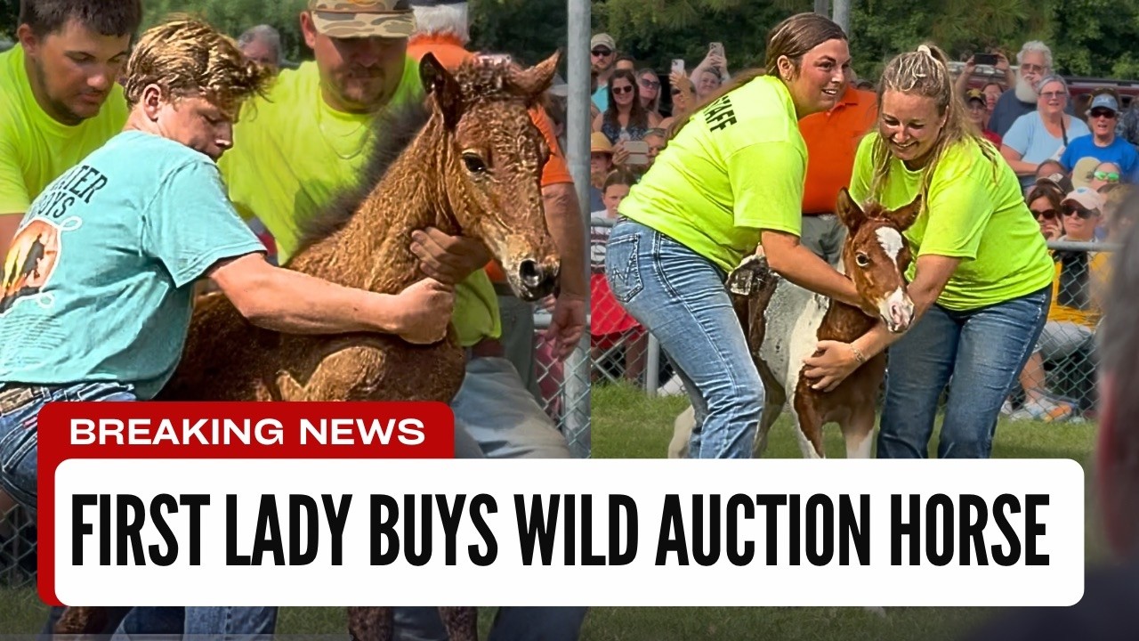 First Lady Buys Wild Auction Horse - Worlds Wildest Auction