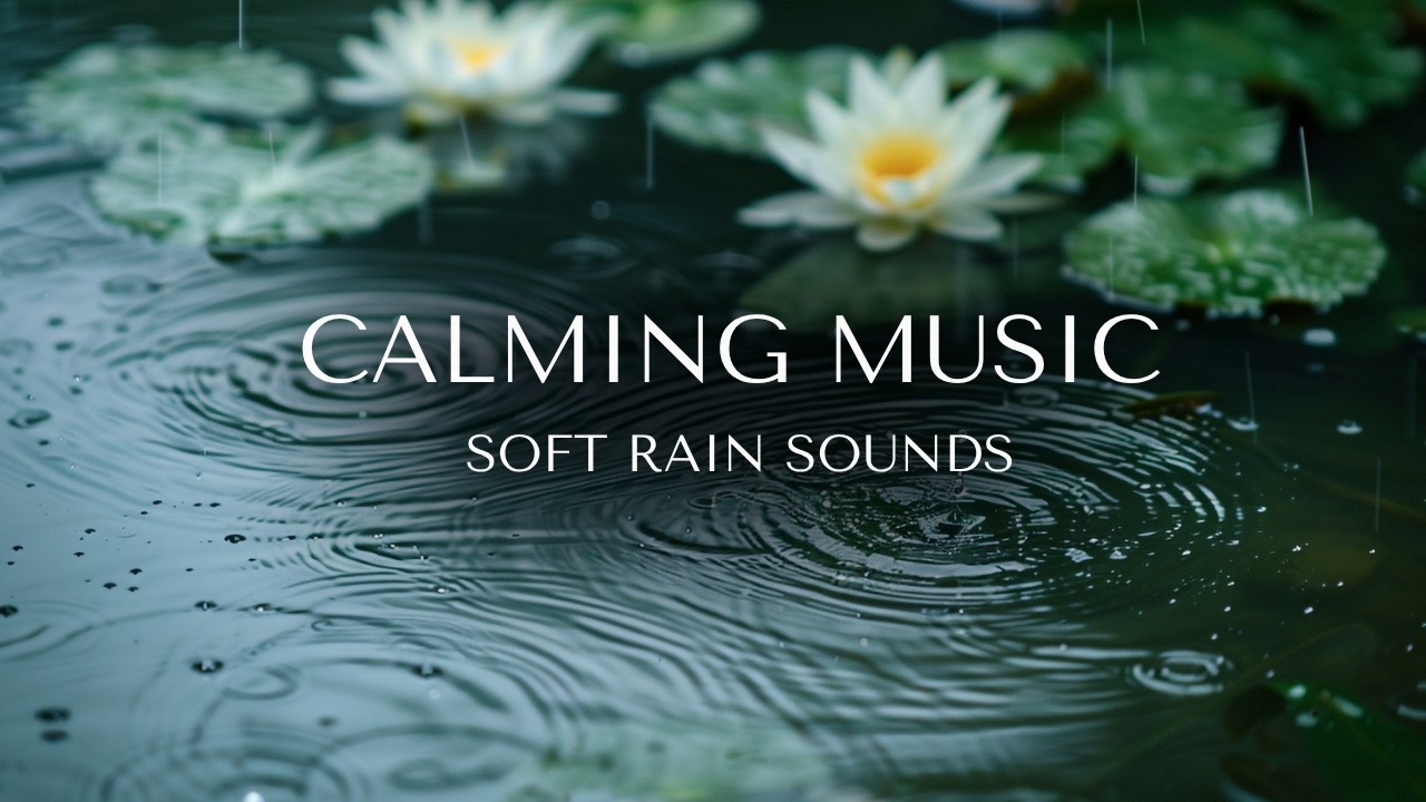 1 Hour Relaxing Rain Sounds for Deep Sleep & Stress Relief 🌧️ #sleepmusic
