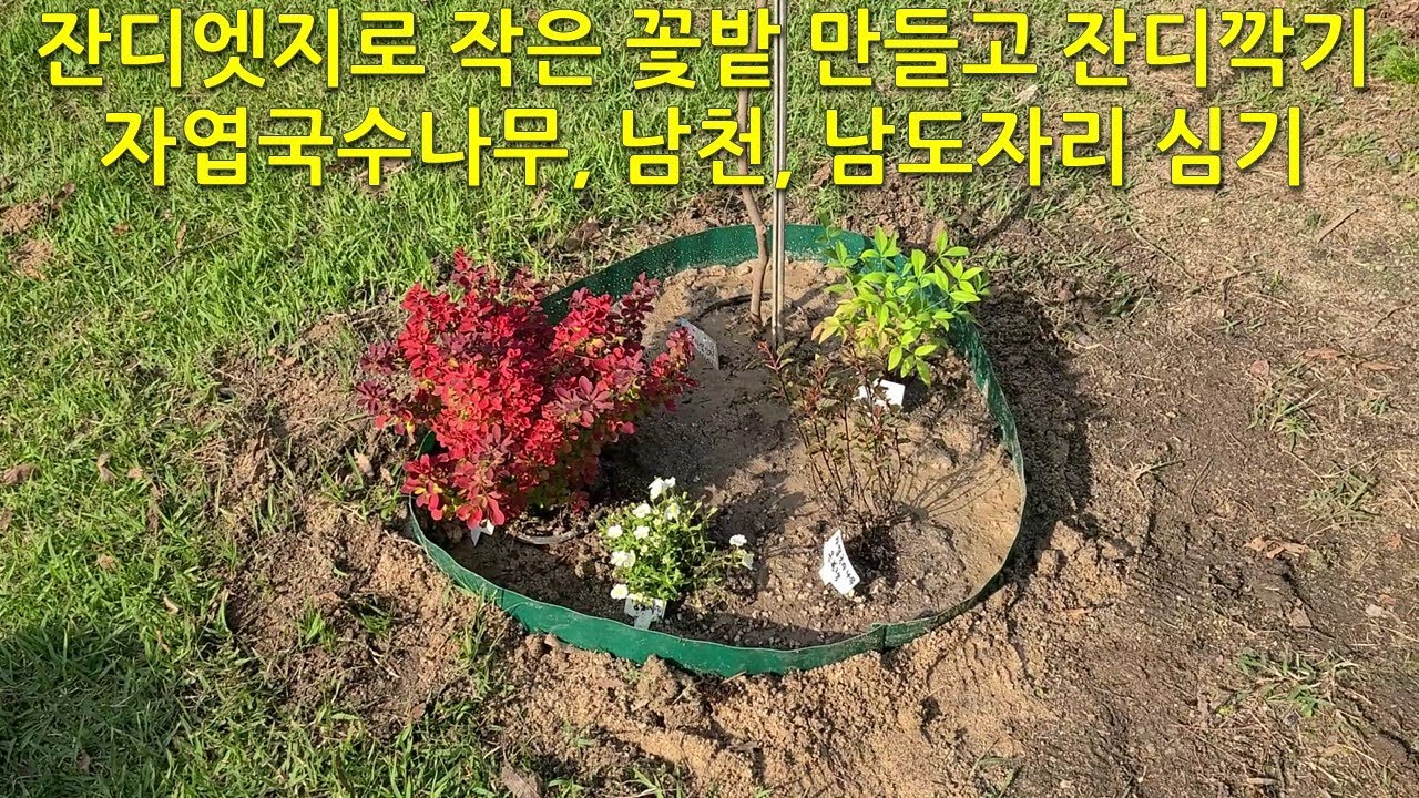 잔디엣지로 작은 꽃밭 만들기. 자엽국수나무, 남천, 남도자리 심기 Create a small flower garden with grass edges.