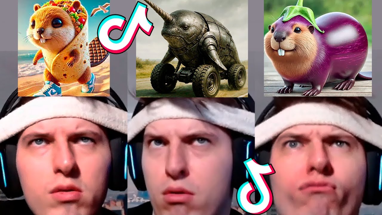 NEW Italian Brainrot Animals 😱 TikTok Compilation (Anatoxich) #43