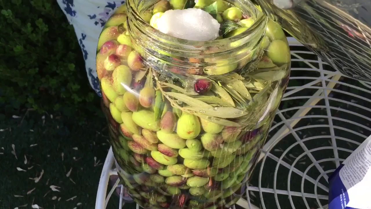 Nonna Franca Preserving Green Olives