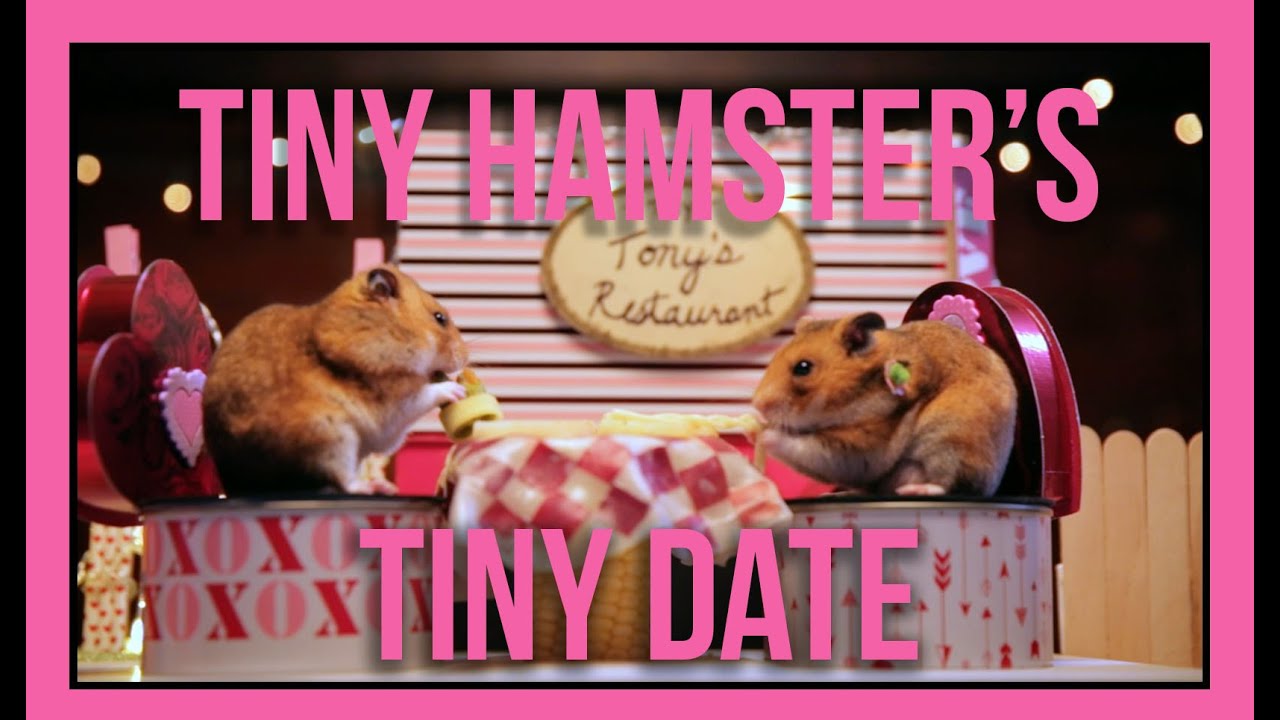 Ep. 5: Tiny Hamster's Tiny Date - Valentine's Day Edition