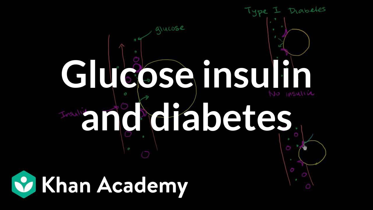 Glucose Insulin and Diabetes
