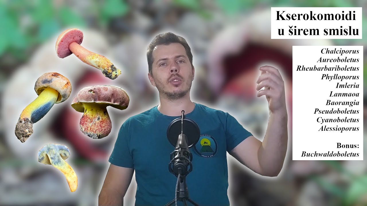 06 Vrganjevke V deo - Kserokomoidi u širem smislu (Boletes pt. 5 - Xerocomoids in the broad sense)