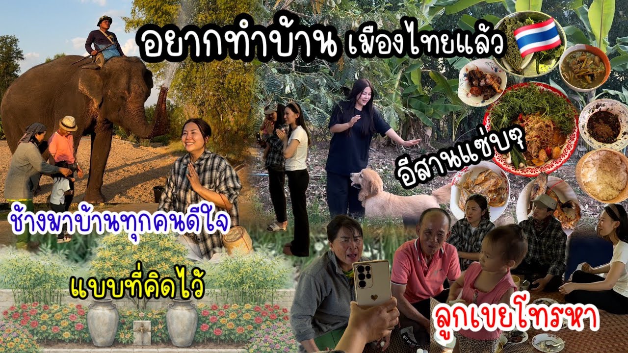 EP.1004 (day3🇹🇭) อยากมีบ้านที่เมืองไทยแล้ว พอเริ่มลงมือทำ ก็ทำให้ได้พบกับช้าง ช่างเป็นนิมิตหมายที่ดี