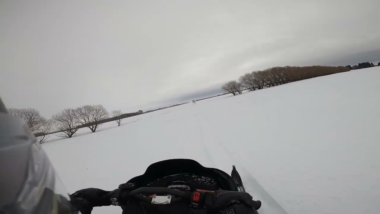 Video 260311V  CF8Kid     meadow to meadow