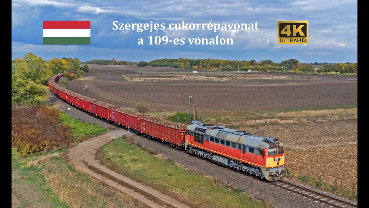 Szergejes répavonatok Tiszavasváriból és Nagykereki vasútjának utolsó napja / 2025.10.18. és 23.