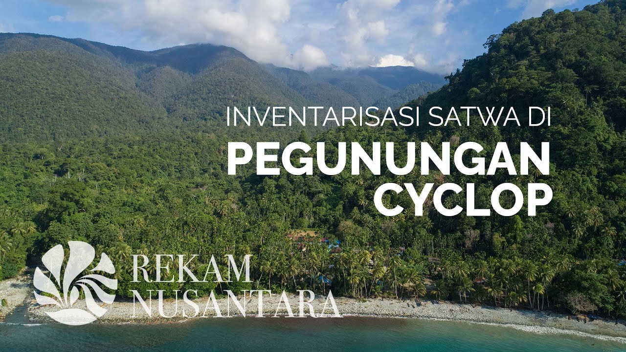 Ragam Fauna Di Cagar Alam Cycloop | Diversity of Fauna in Cyclop Nature Reserve