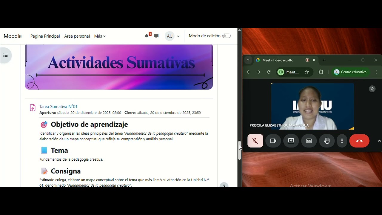 EXPLICACION DEL MIL AULAS
