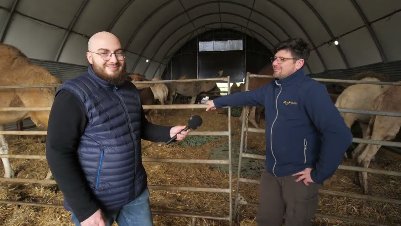 La Camélerie de Feignies
