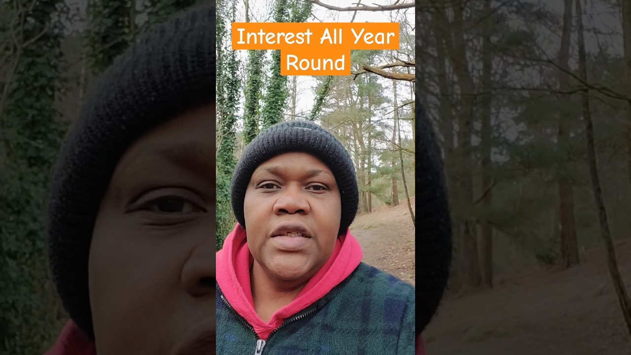 Interest All Year Round 