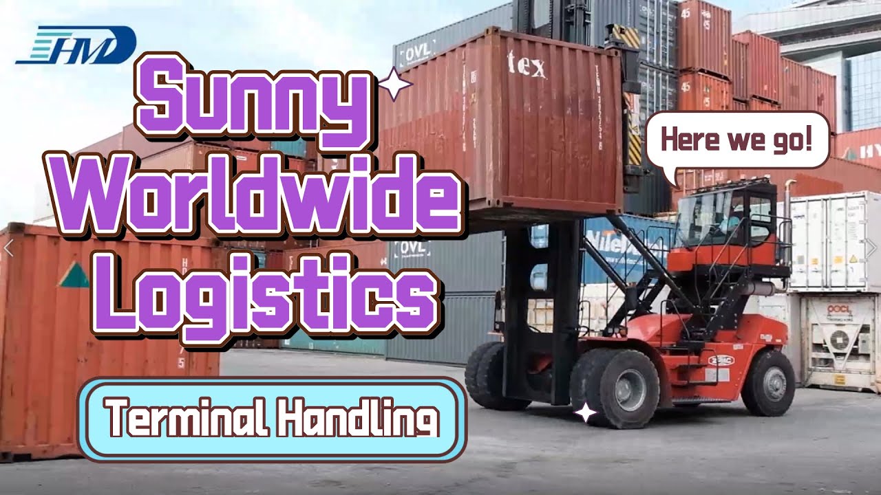 Sunny Worldwide Logistics Terminal Handling Shipping Cargo Service