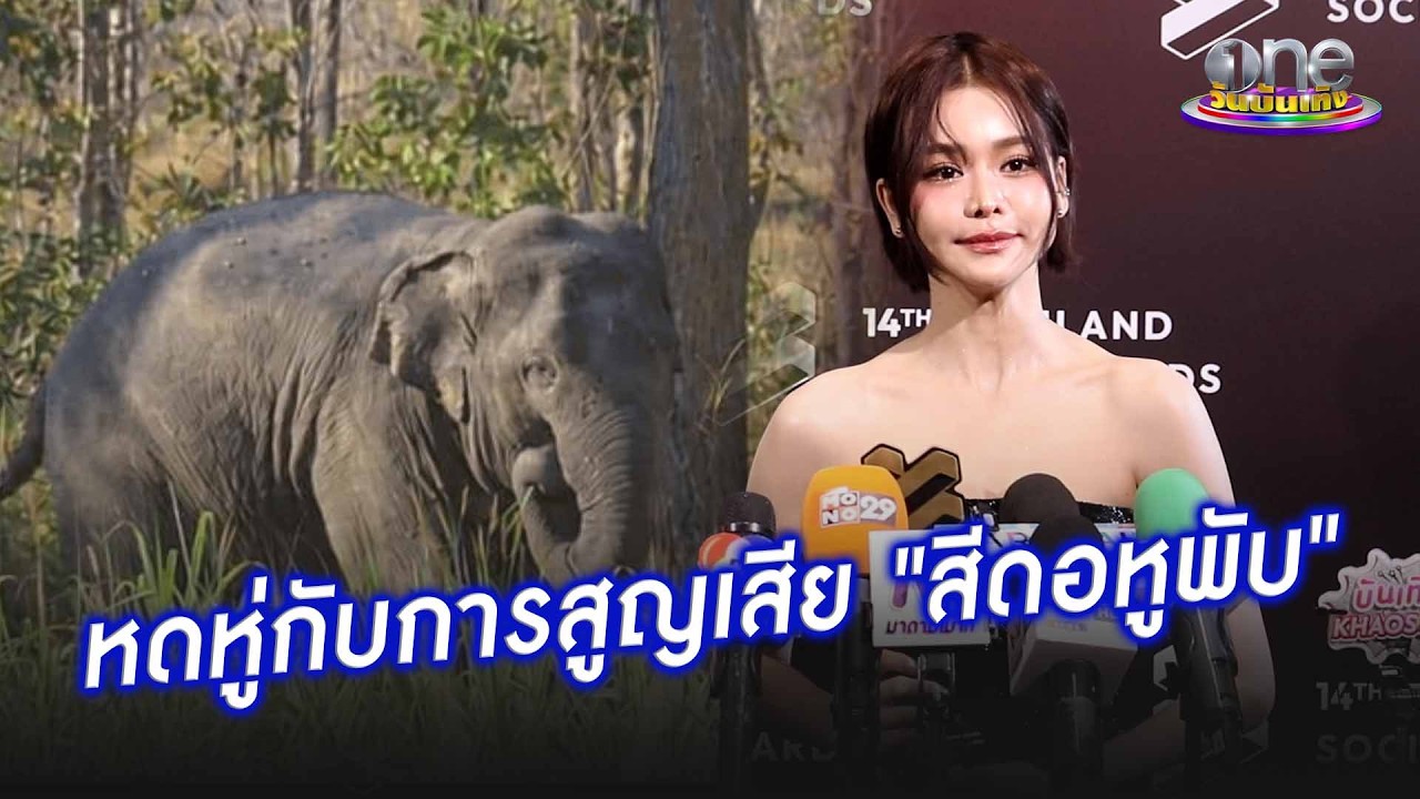 “อิงฟ้า” หดหู่สูญเสีย “สีดอหูพับ” อยากให้คนทำได้บทเรียน | ประเด็นร้อน 2026