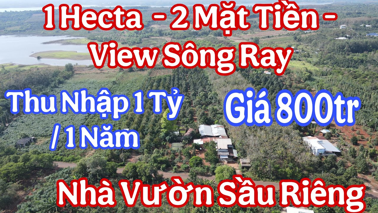 Bán Nhà Vườn Sầu Riêng View Hồ Sông Ray - Bà Rịa Vũng Tàu - Nguồn Thu Cao Giá Ngợp