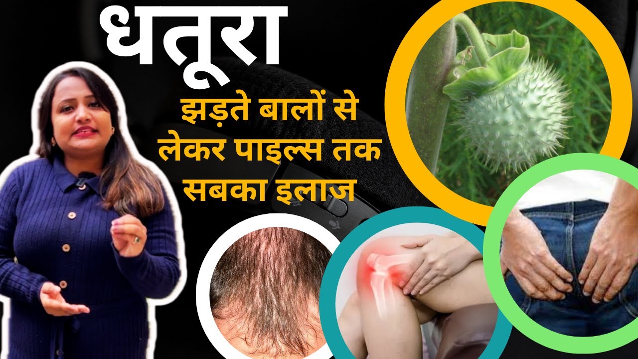Datura Ke Fayde and Uses: धतूरा इस्तेमाल करने का सही तरीका और फायदे | Jeevan Kosh