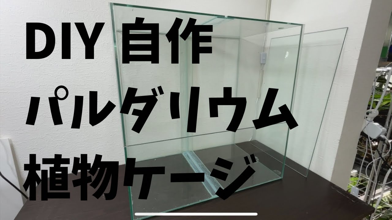記録　DIYシリーズ　パルダリウム・植物ケージ
