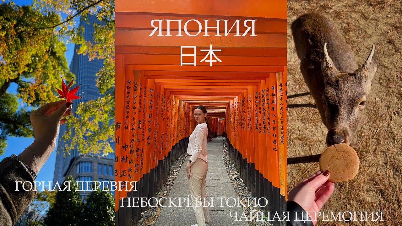 МЕЧТА СБЫЛАСЬ: ЯПОНИЯ 🇯🇵 Небоскрёбы Токио, храмы Киото и олени Нара