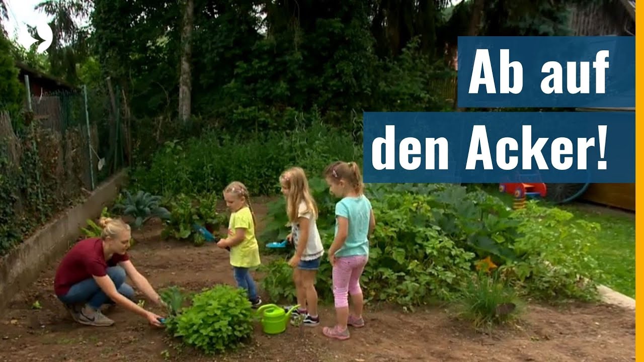 Ackern für das eigene Gemüse - Wenn Kinder selbst zu Gärtnern werden