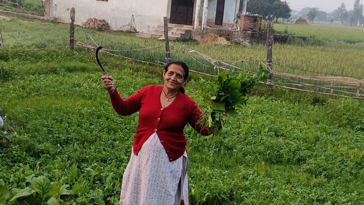 सेवा तो नहीं कर पा रहे हैं सुकून बहुत मीला।
