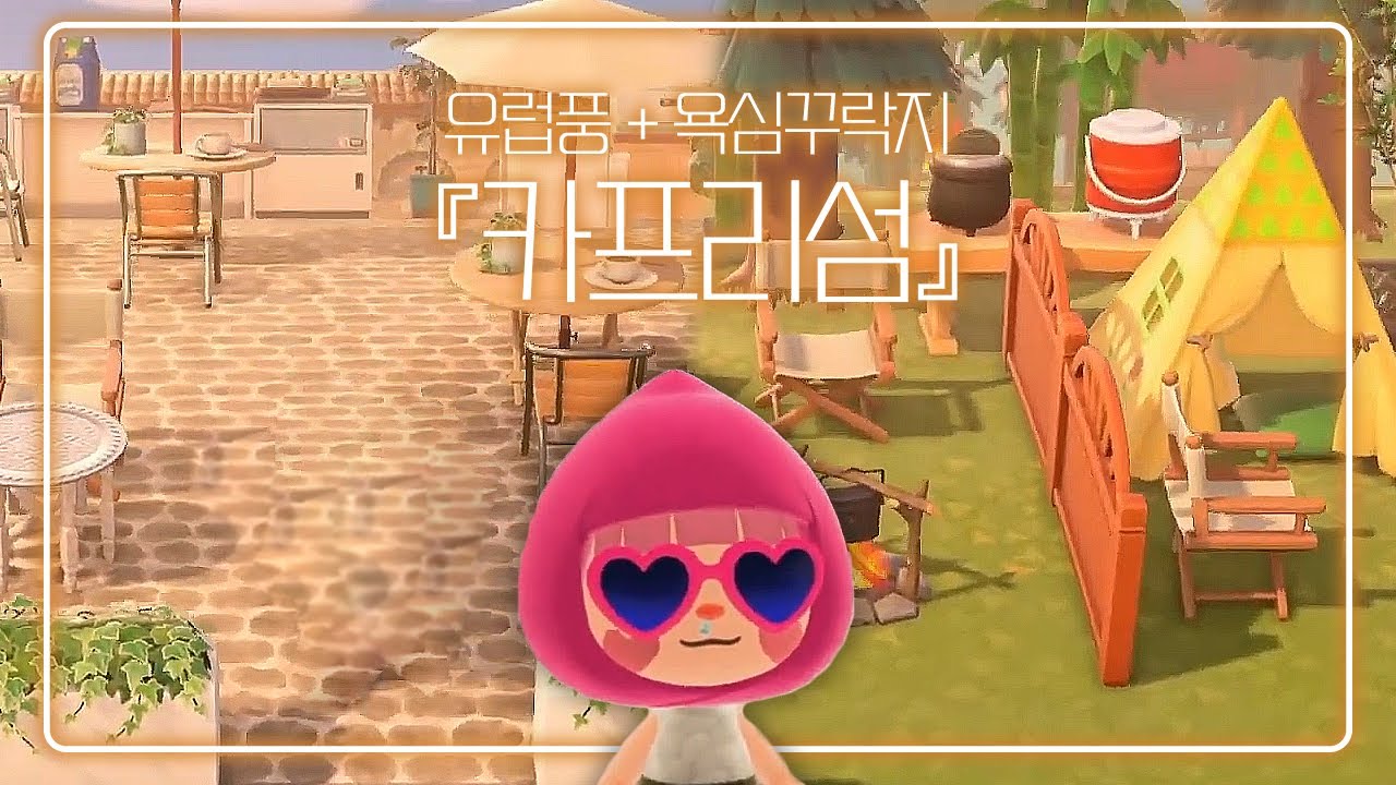 약 10개월 걸린 동숲 섬 꿈번지 공개합니다✨