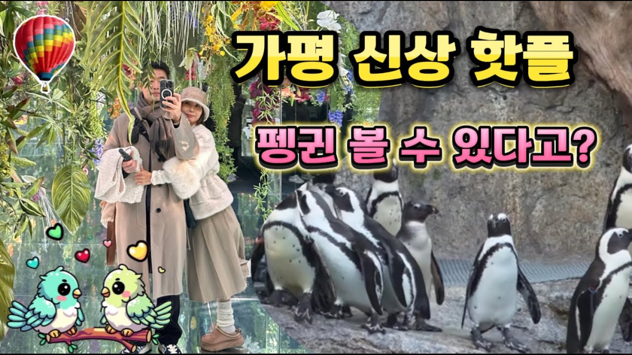 가평 당일코스 여행 I 가평 베고니아 새정원 I 가평 소문난 닭갈비 I 서울 근교 여행지