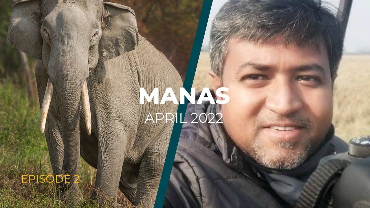 Manas Jungle Safari | Manas National Park in Assam | 4K Vlog in Hindi | Episode 2
