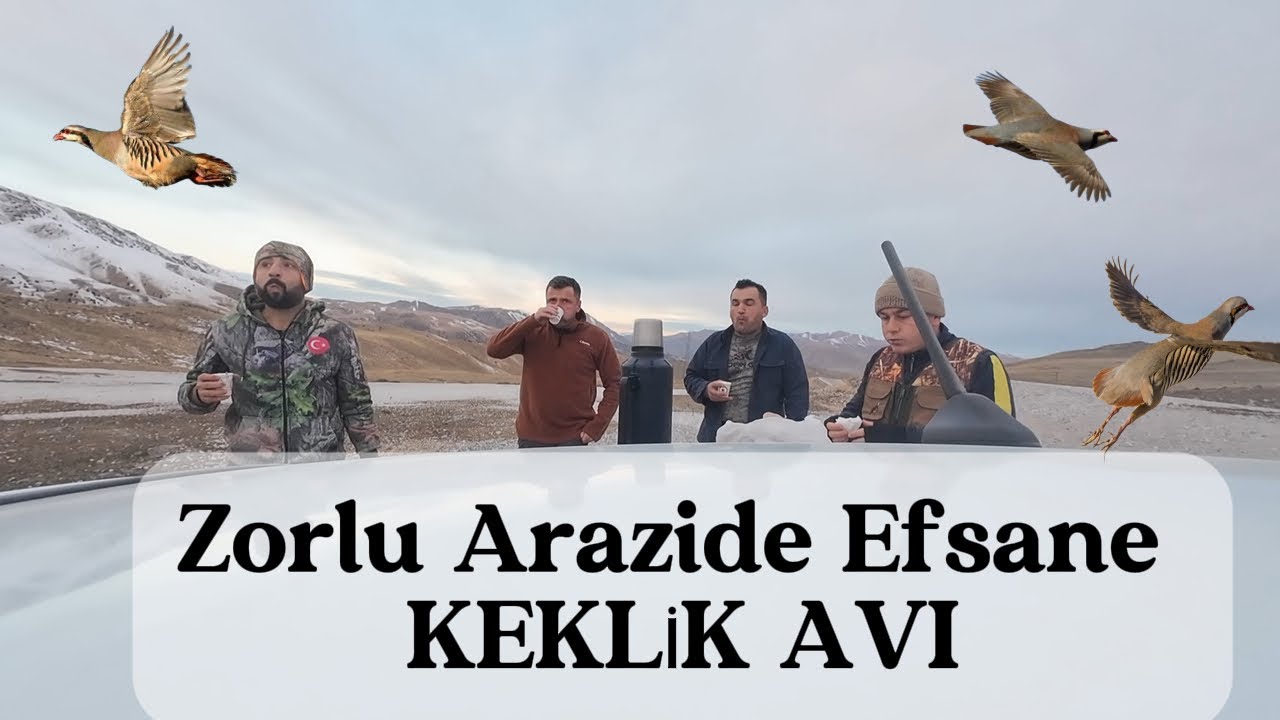 ZORLU ARAZİDE EFSANE KEKLİK AVI   