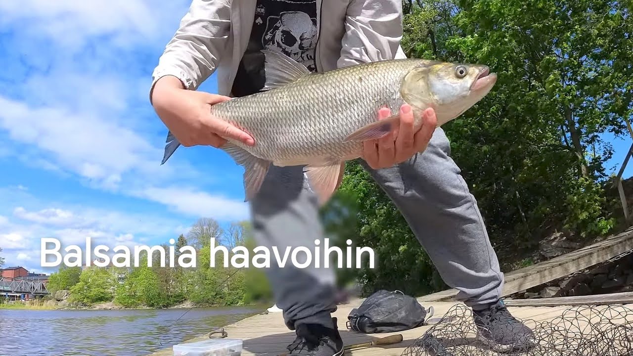 Komea Toutain Suvannolta ja pari pienempää