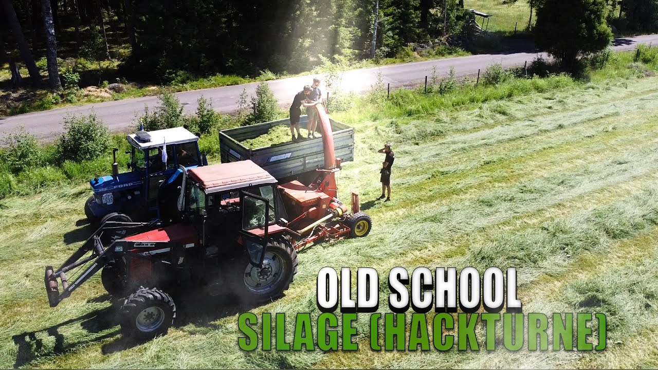 OLD SCHOOL SILAGE (PART 2) | TAARUP, VOLVO BM 810, BELARUS, FORD | In Småland, Sweden