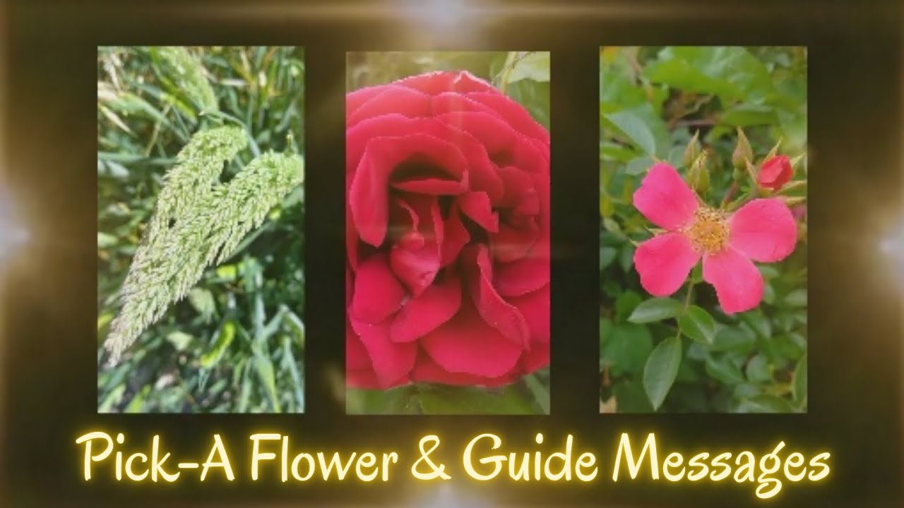Pick-a Reading Flower & Guide Messages and Guidance 