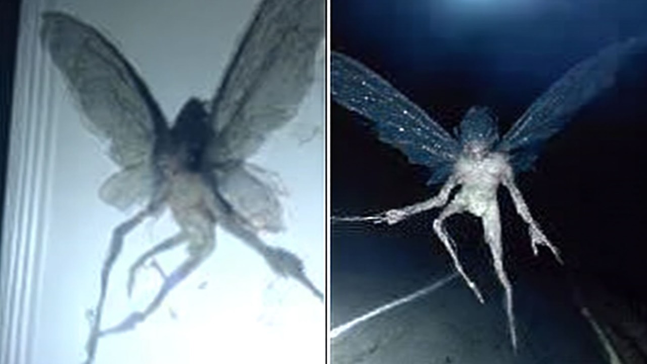 REAL Fairy Encounters Experts Cannot Explain Away