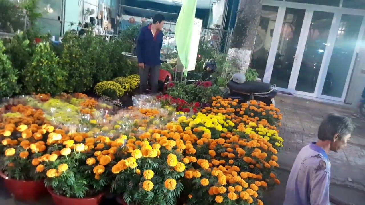 💝 Kỷ niệm còn đây !!! #tet #flowers #travel #dulich #langhoasadec 
