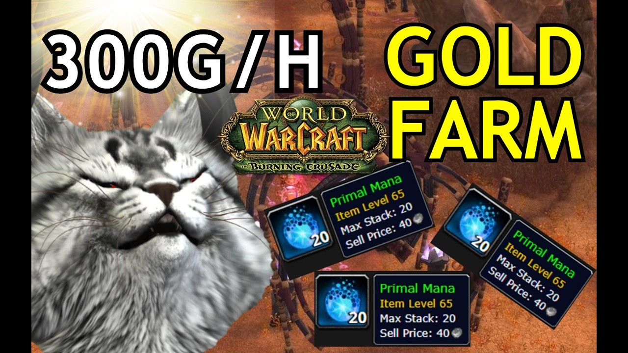 AOE GOLD FARMING IN WOW TBC