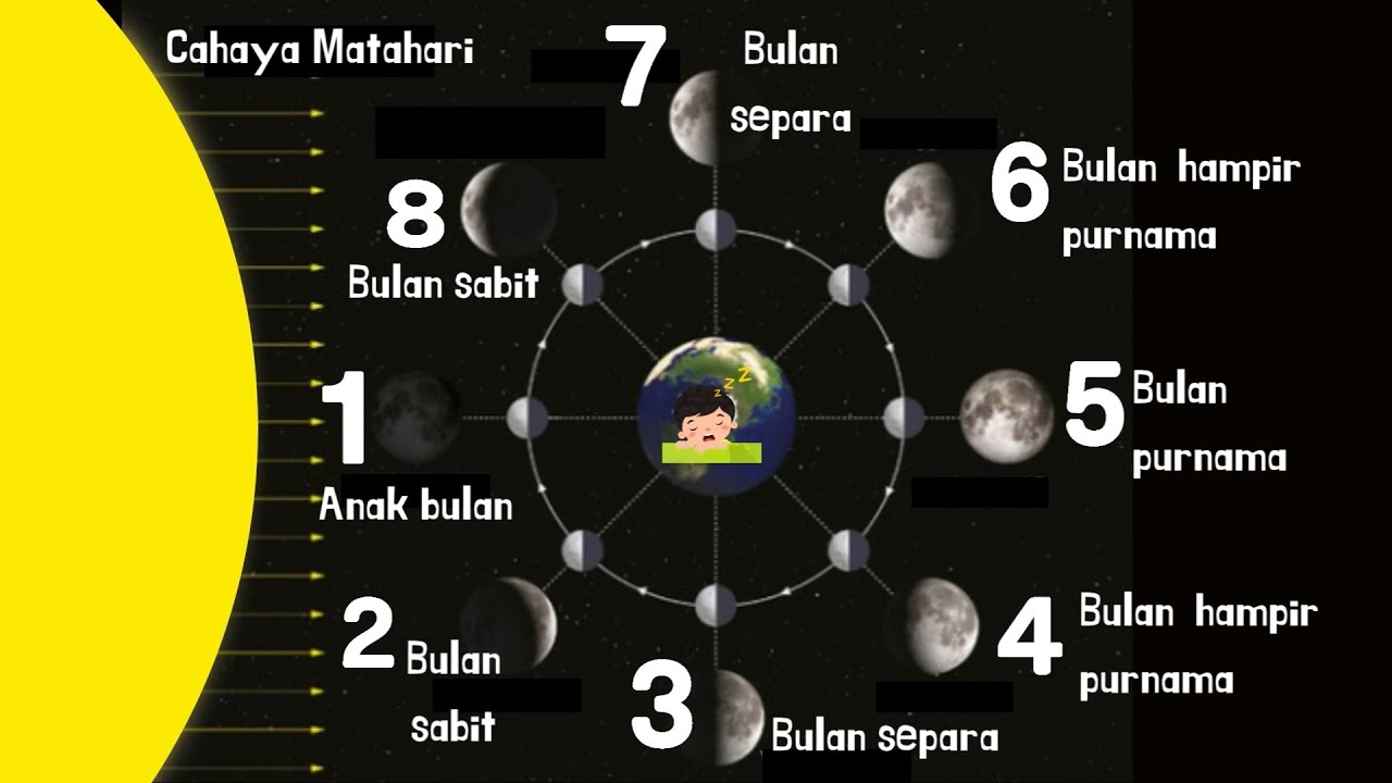 Sains Tahun 5 | Fasa Bulan dan Buruj | Putaran dan Peredaran Bulan | Takwim Qamari | Fasa-fasa Bulan