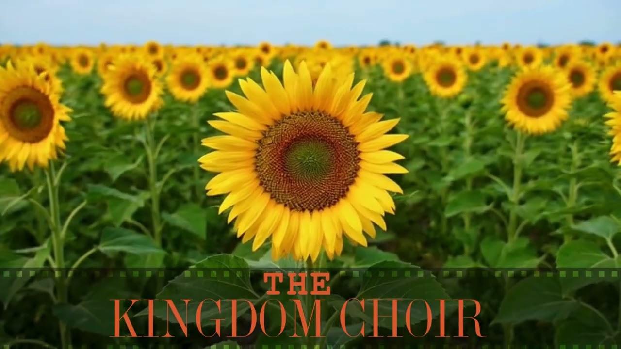 Kingdom ❤️ | Soft Love Song 2026 | Romantic Music for Deep Feelings