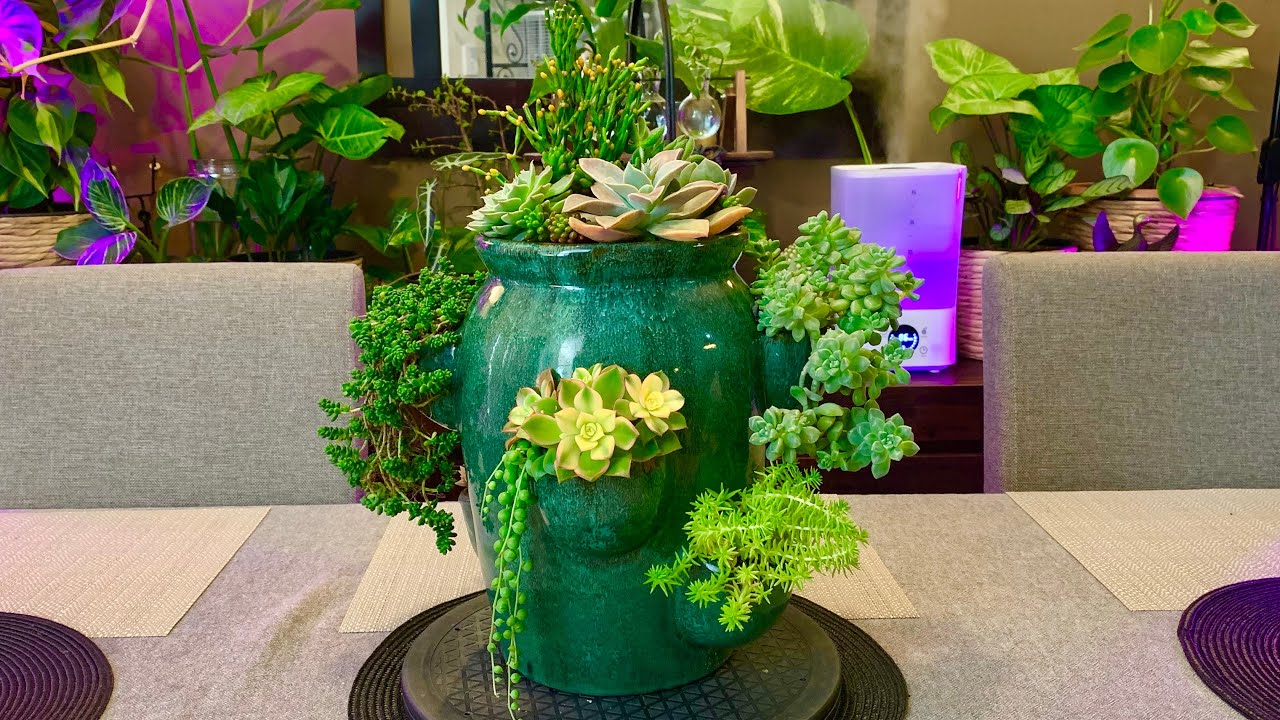 Strawberry Planter Succulent Arrangement