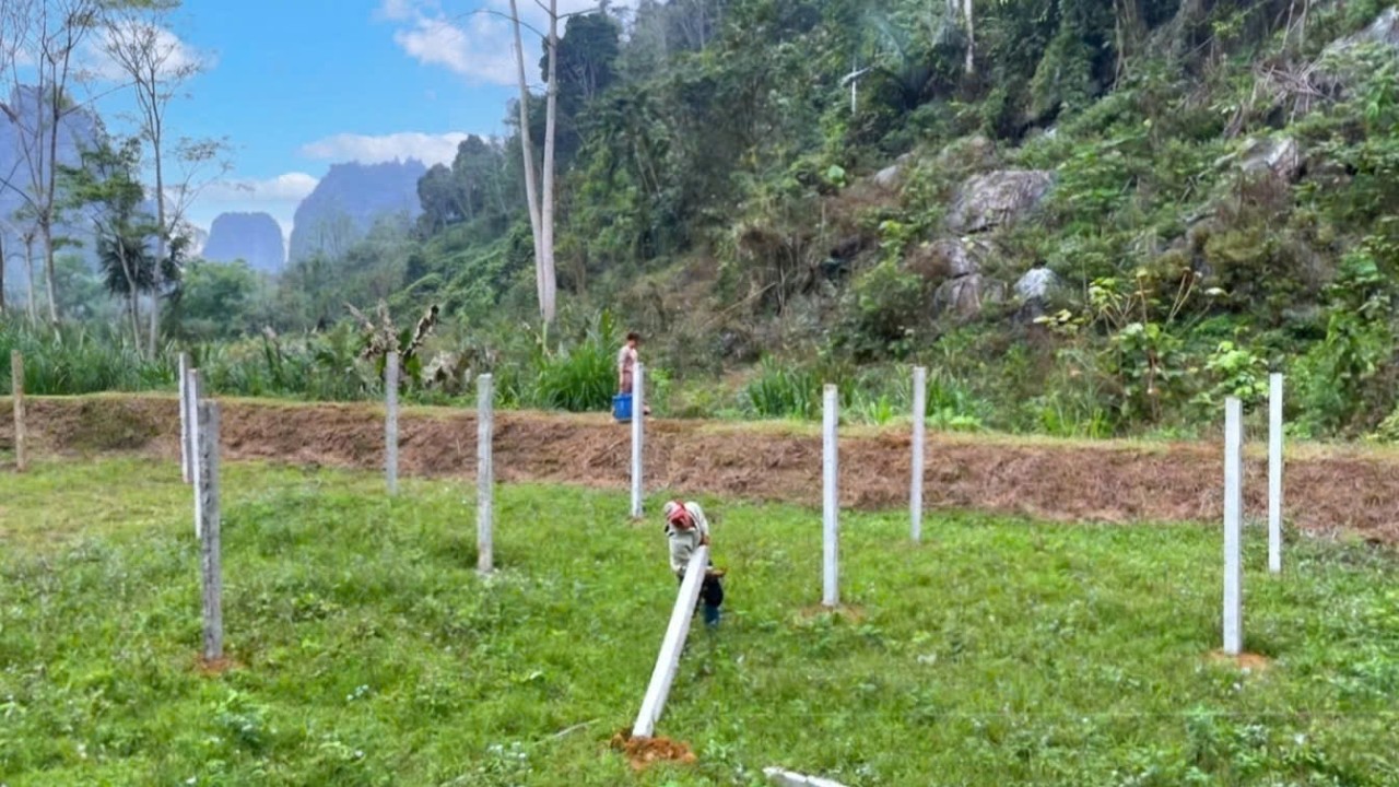 SU has finished burying the concrete pillars in the fish pond, A small family lived in the forest.