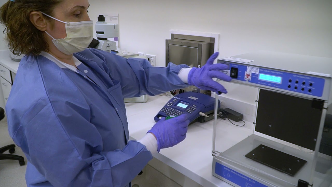 Wilcox Fertility Andrology Laboratory