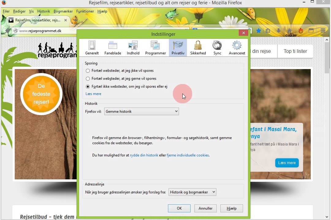 Cookies test med Xvid den som blev forsl&aring;et fra Rejseprogrammet.dk