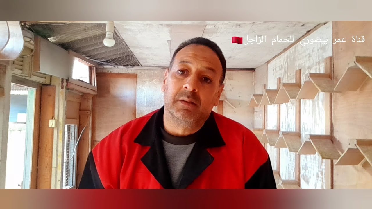 الإجابة على بعض التساؤلات وبعض النصائح المفيذة ،ونتائج الوصفة السحرية مع الصور.